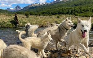 DIA 6 - USHUAIA VISITA A LOS LAGOS y VUELO A CALAFATE 