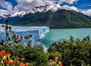 DIA 7 - EL CALAFATE | GLACIAR PERITO MORENO y SAFARI NAUTICO