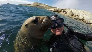 DIA 14  -  PUERTO MADRYN | SNORKEL CON LOBOS MARINOS OPCIONALMENTE  y AVISTAJE DE BALLENAS en EL DORADILLO